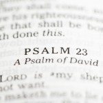 Psalm of David.